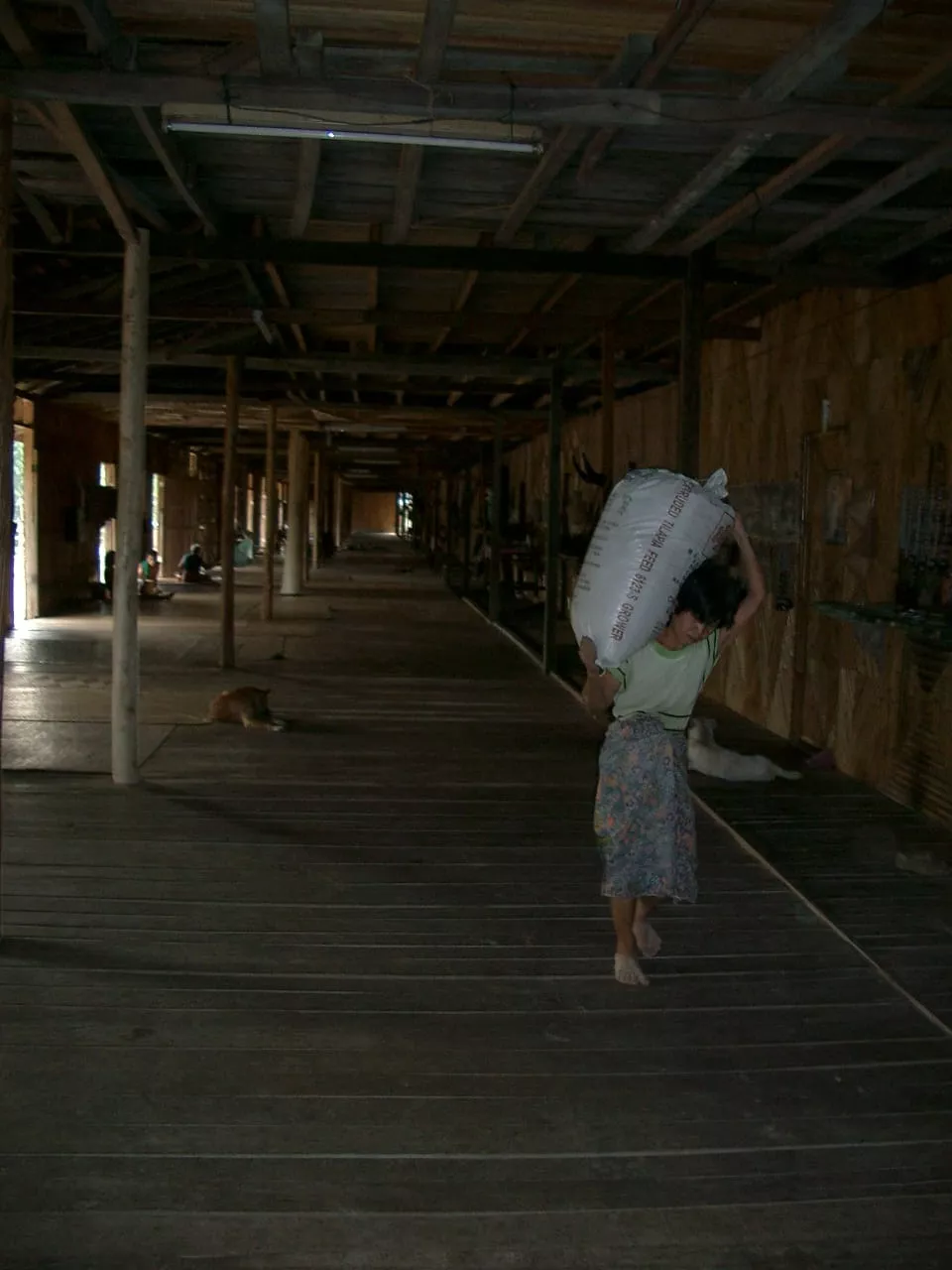 Marco Pascual en Borneo