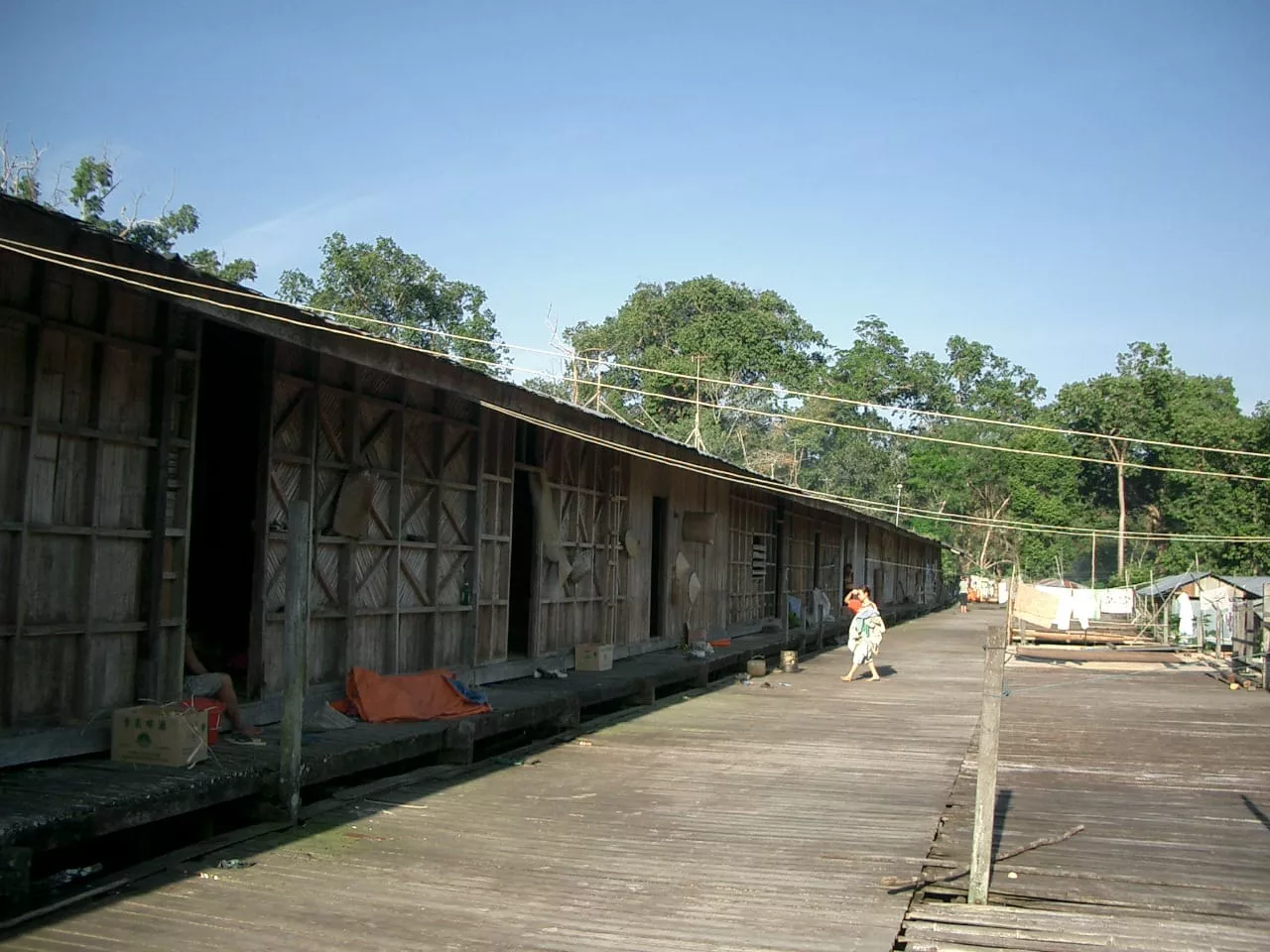 Marco Pascual en Borneo