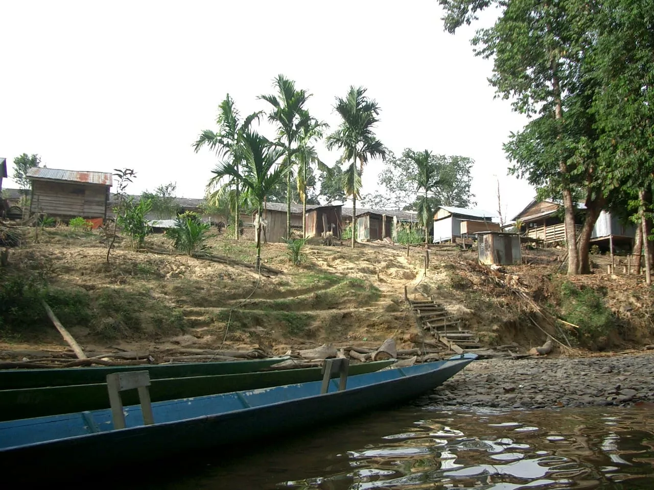 Marco Pascual en Borneo