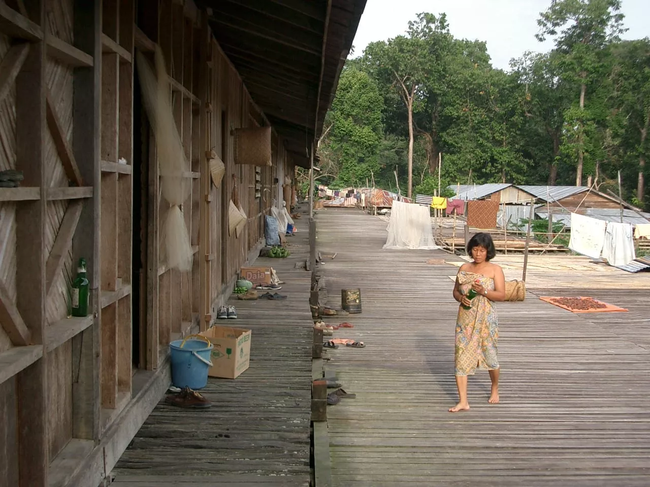 Marco Pascual en Borneo