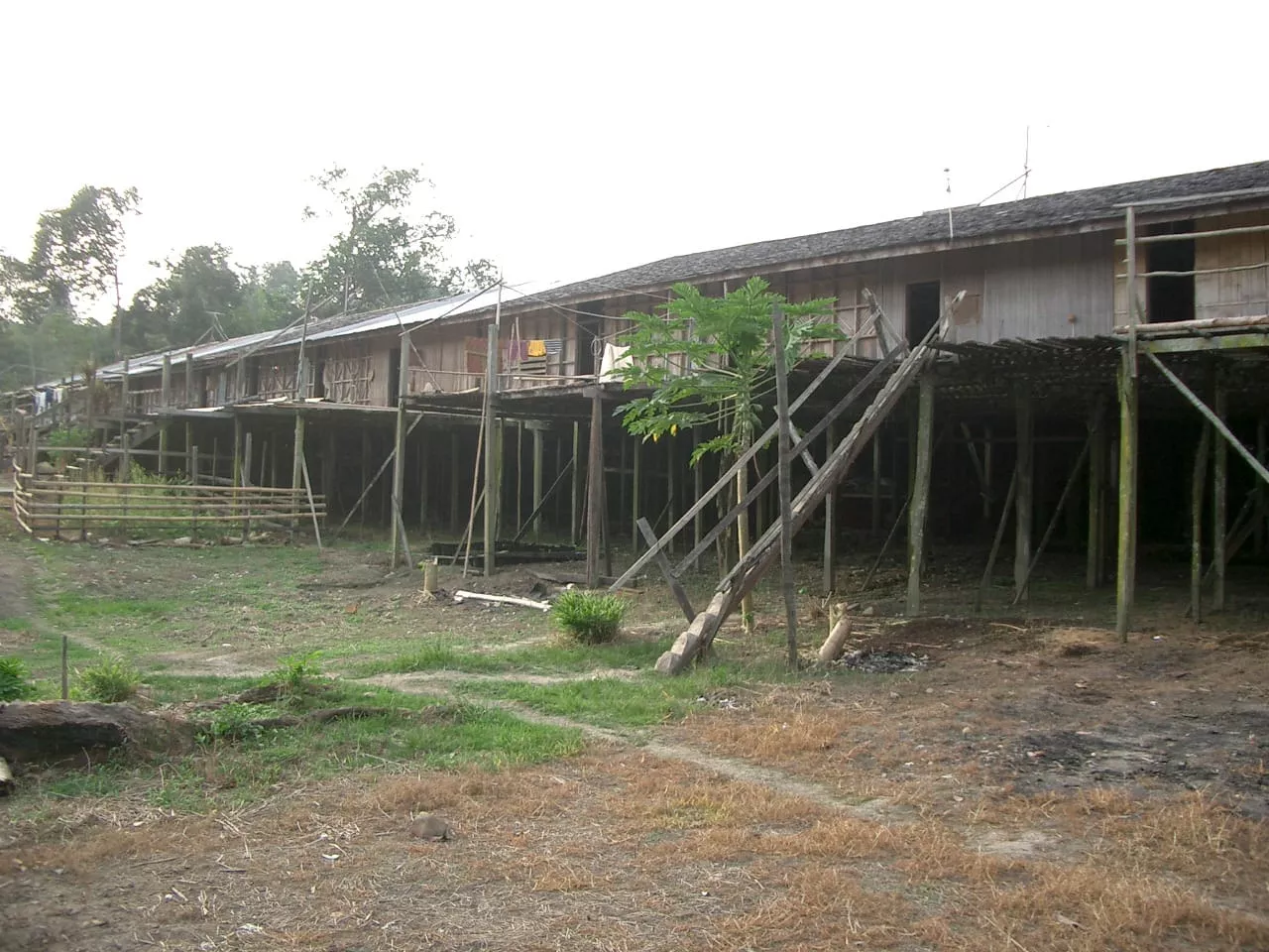 Marco Pascual en Borneo