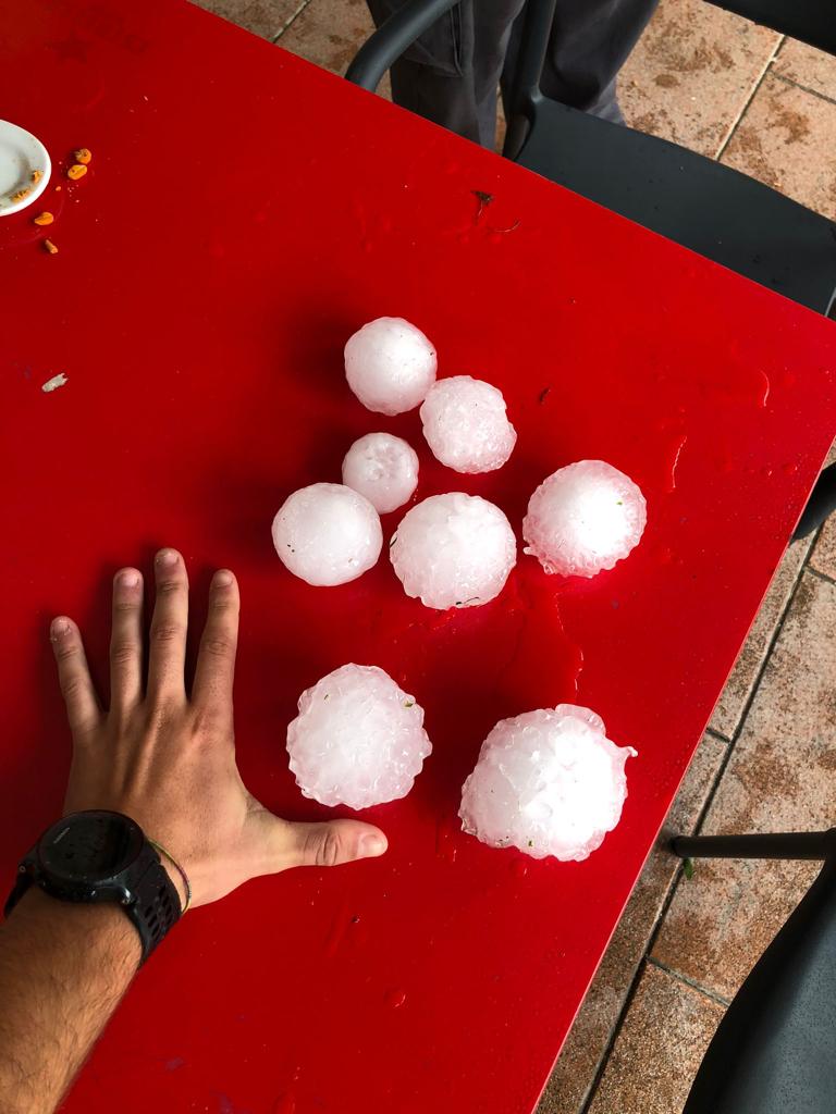 Los daños más relevantes de la pasada campaña han sido los producidos por el pedrisco 