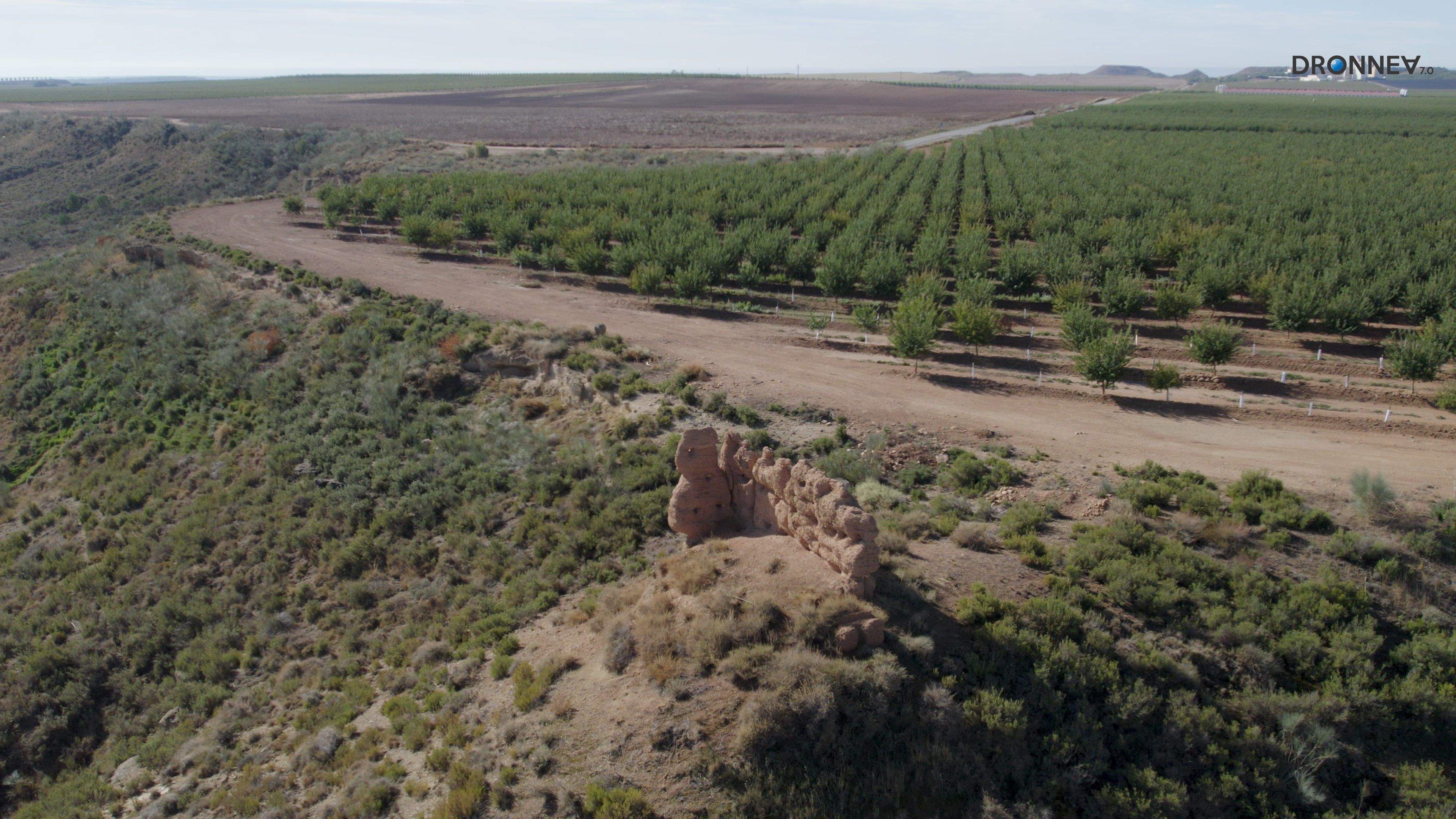 Verde que te quiero verde, verde viento, verdes ramas. Los sones de Manzanita suenan en La Litera