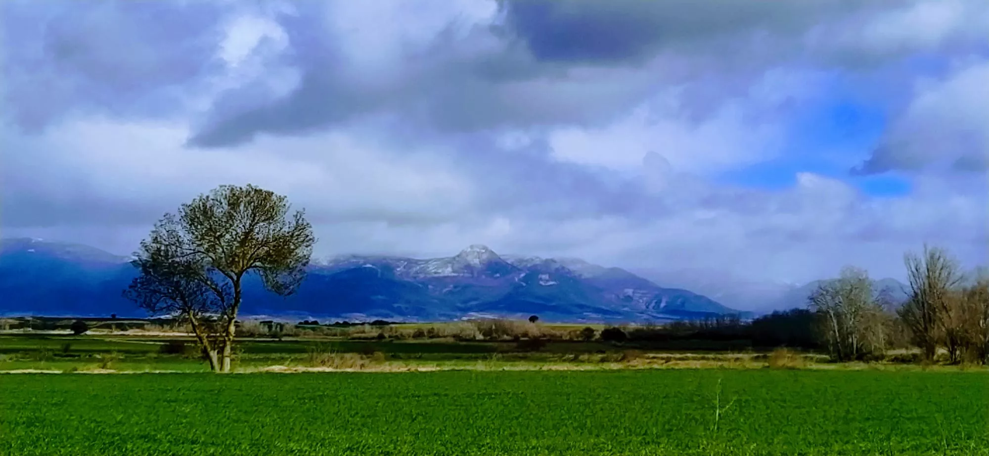 Grullas en la Alberca de Alboré. Foto Joaquín Santafé 