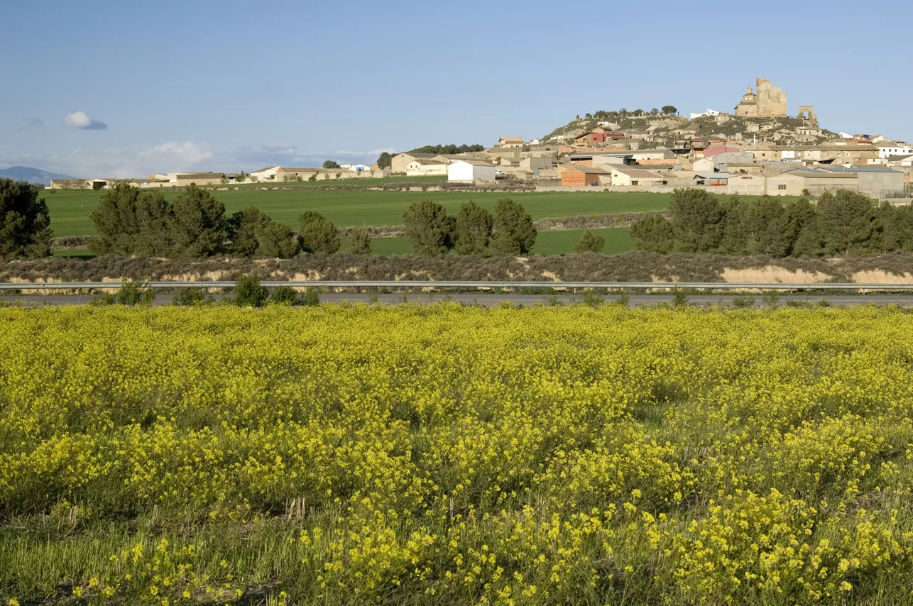Vista de Almudévar. Foto Hoya de Huesca