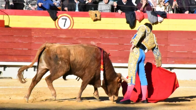 WhatsApp Image 2024 03 05 at 21.34.07 WhatsApp Image 2024 03 05 at 21.34.07