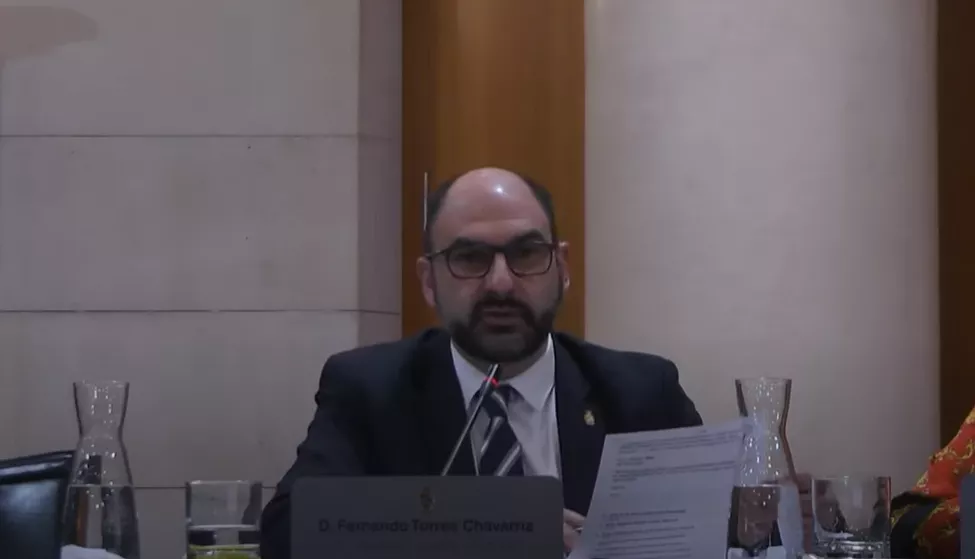 Fernando Torres durante un pleno de la DPH.