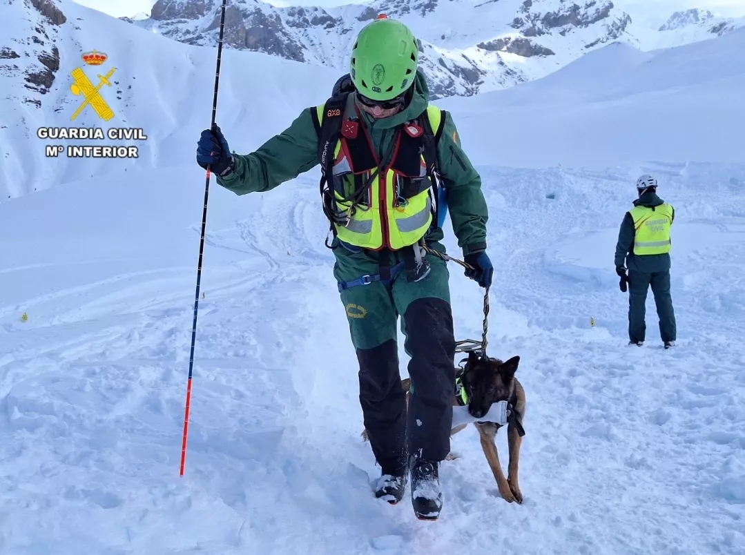  Prácticas de guías caninos de la Guardia Civil en Panticosa.