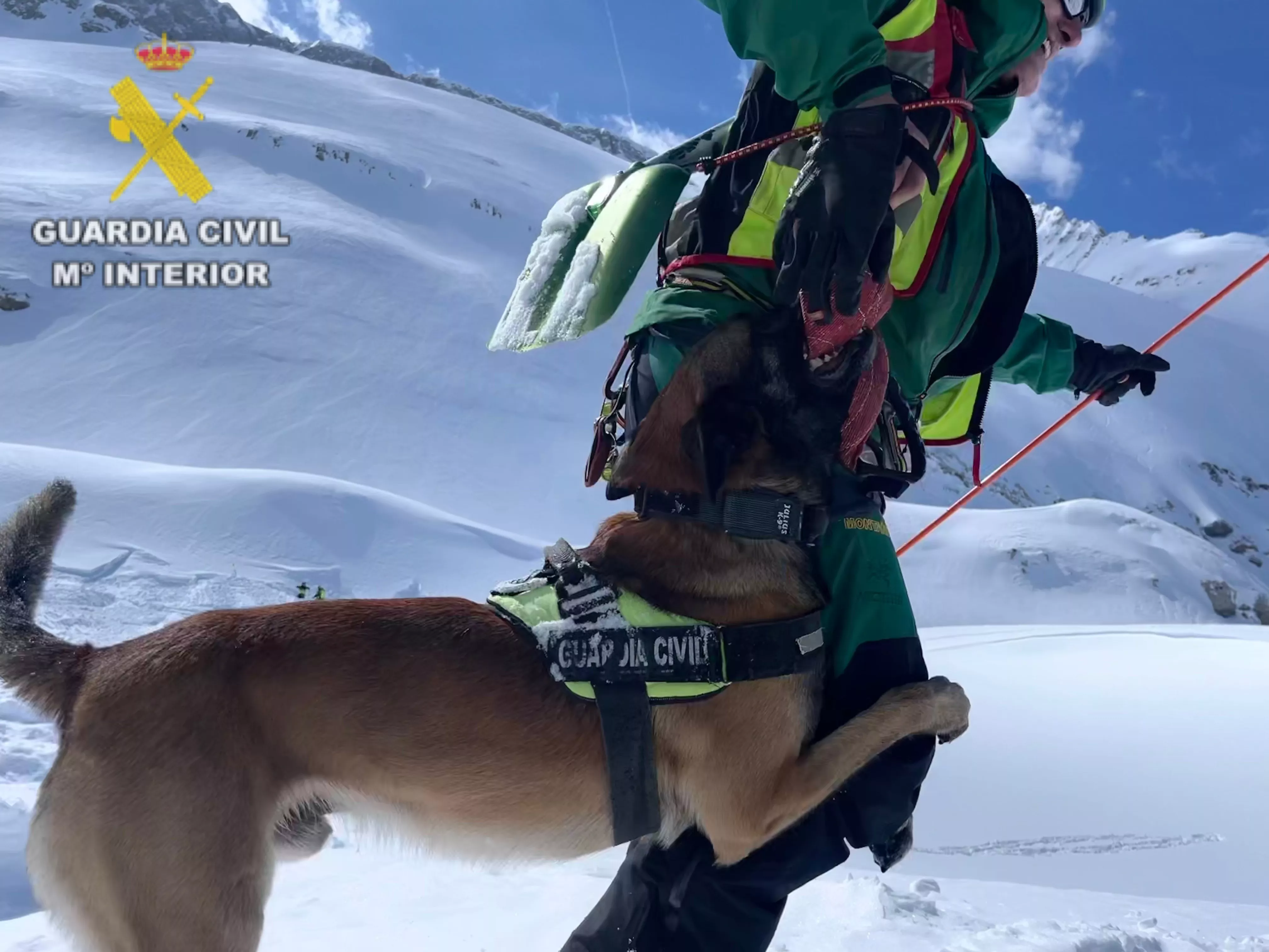  Prácticas de guías caninos de la Guardia Civil en Panticosa.