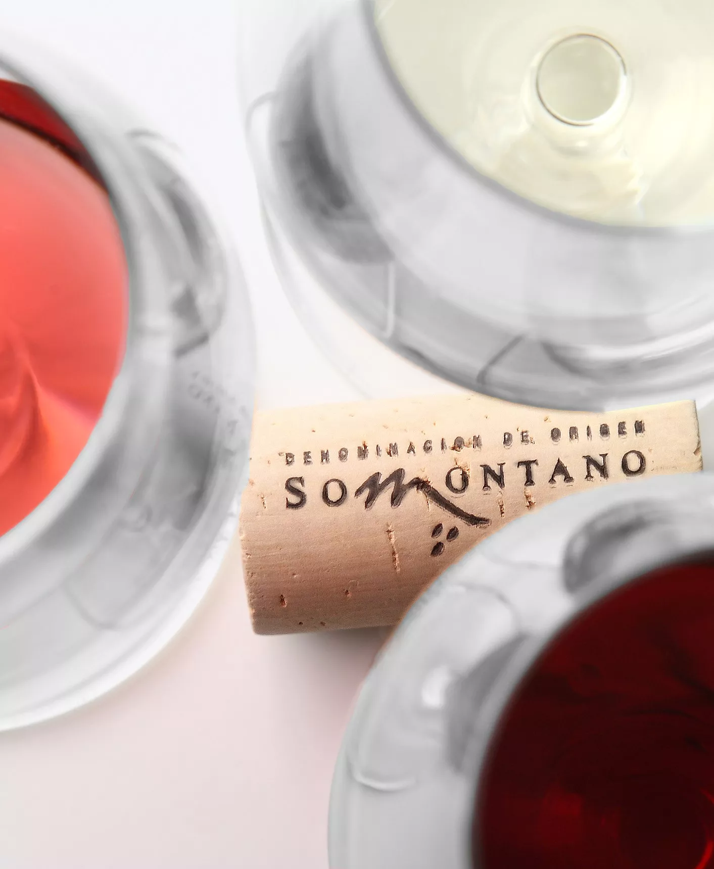 Vinos de la DO Somontano