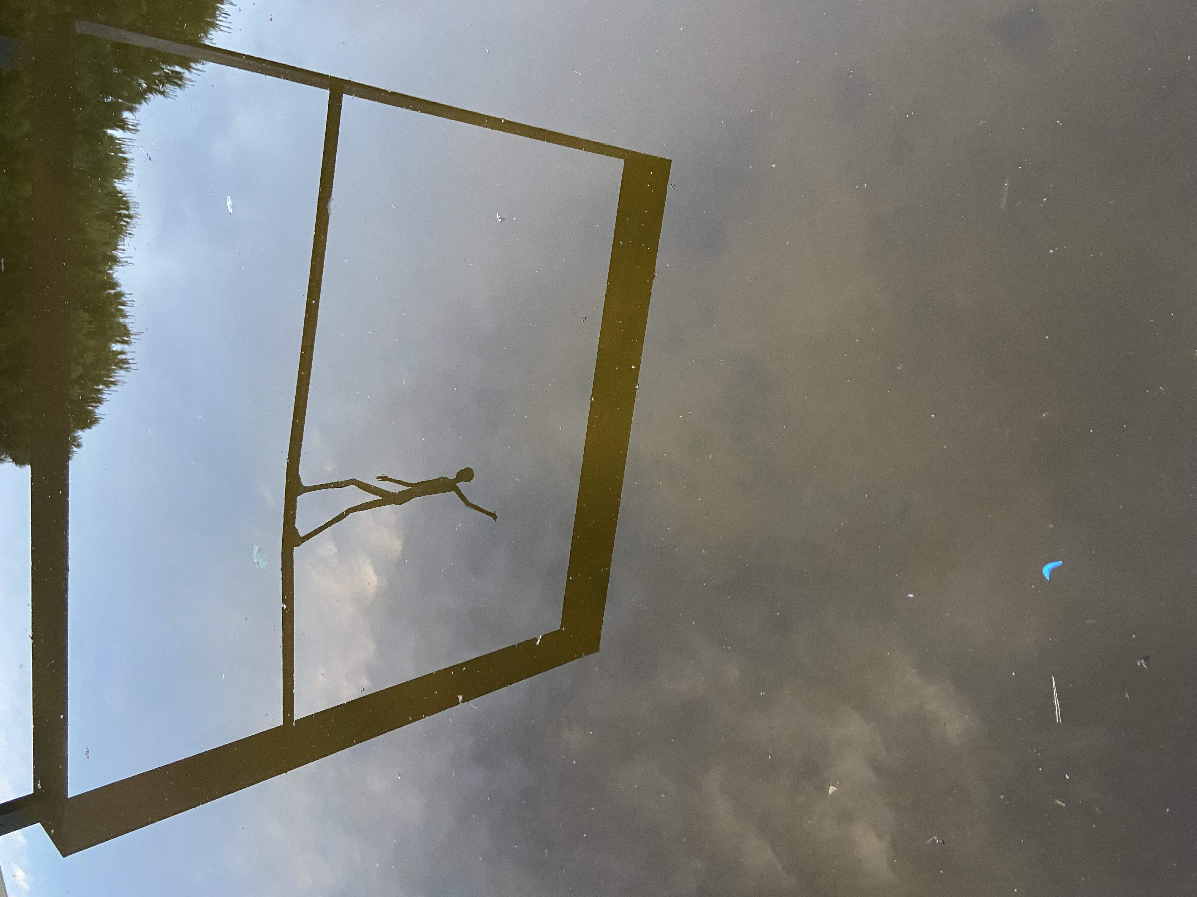 10 competencias para afrontar un futuro incierto