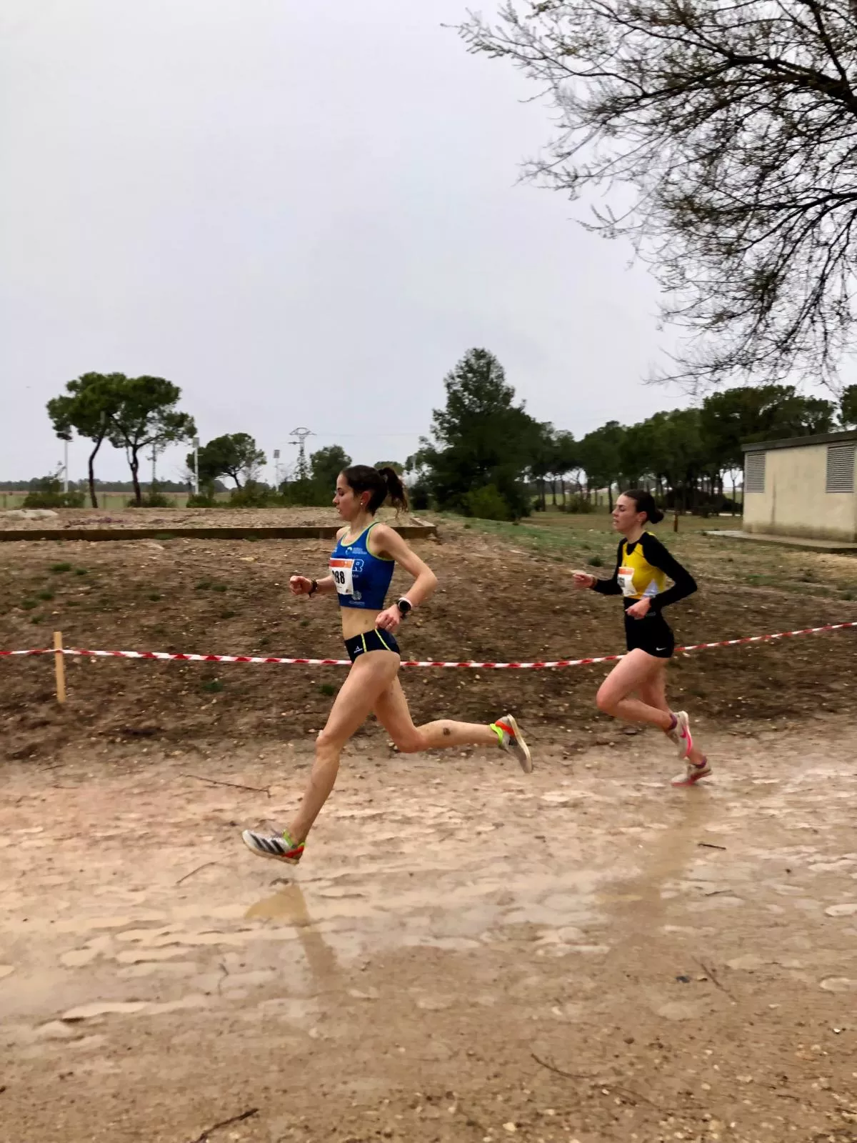 Campeonato de España de cross universitario
