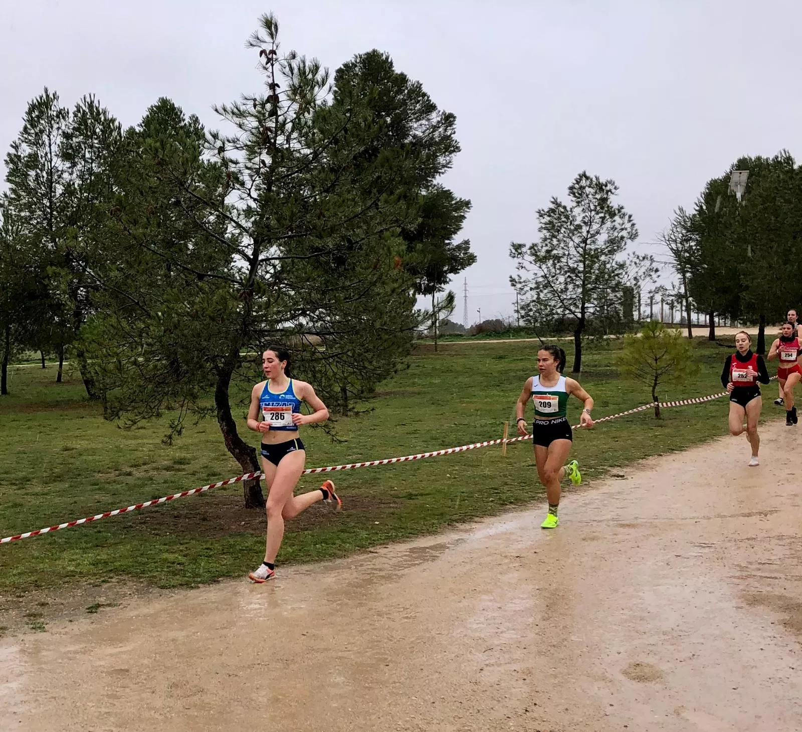Campeonato de España de cross universitario