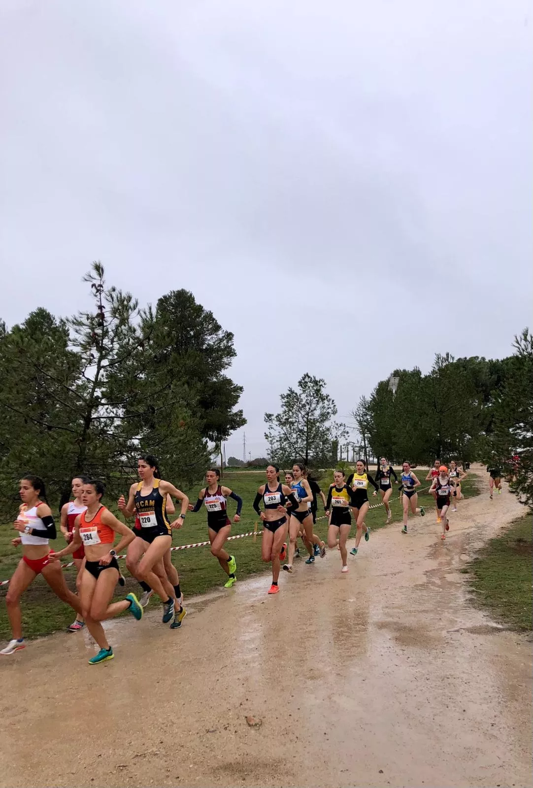 Campeonato de España de cross universitario