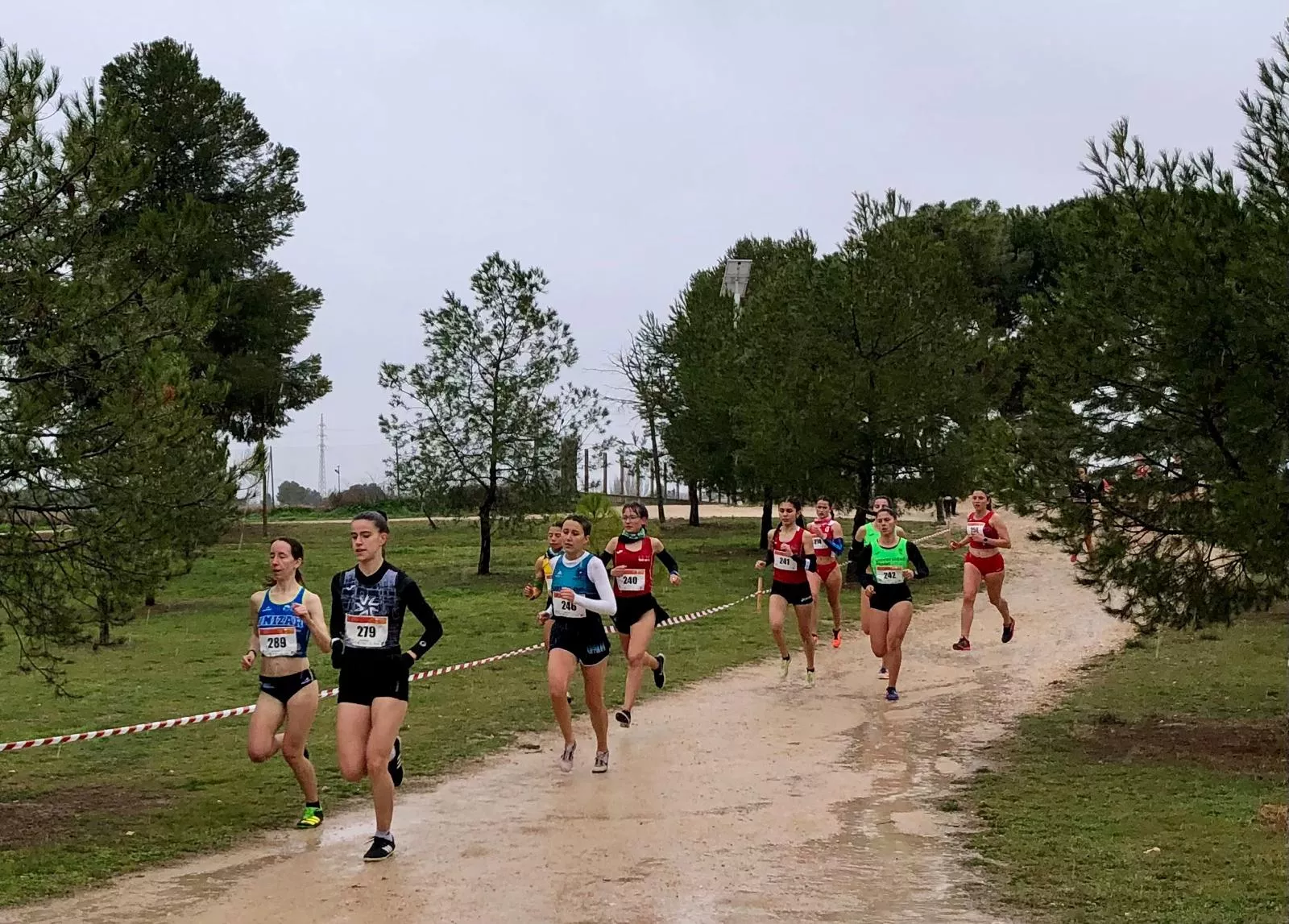 Campeonato de España de cross universitario