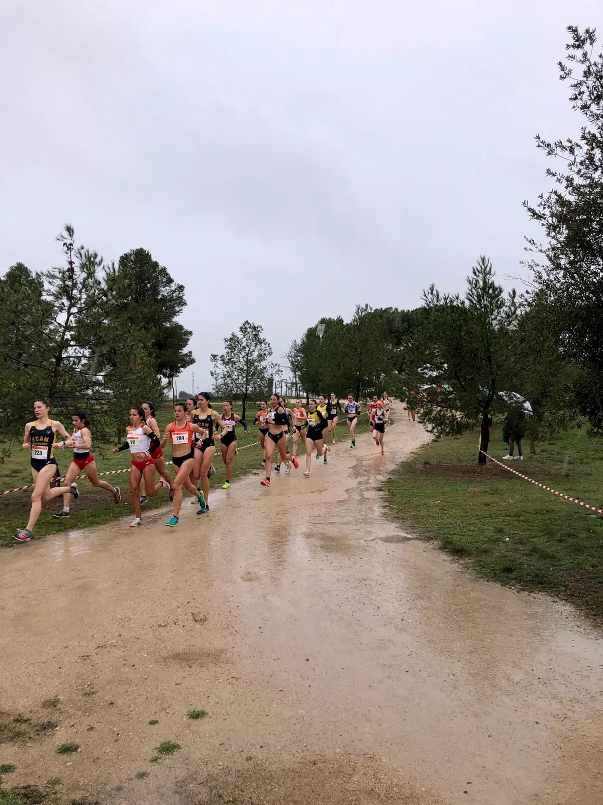 Campeonato de España de cross universitario