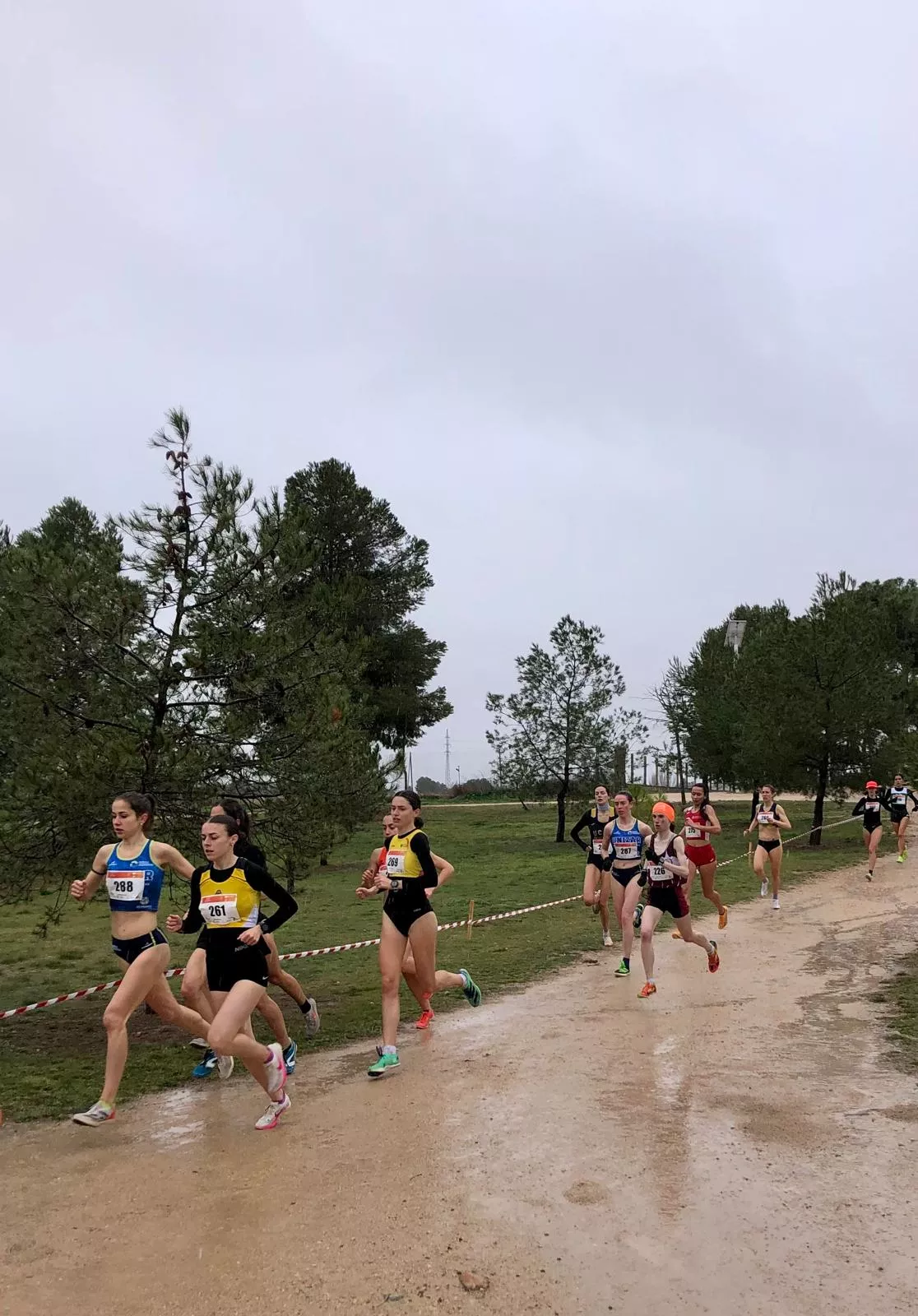 Campeonato de España de cross universitario