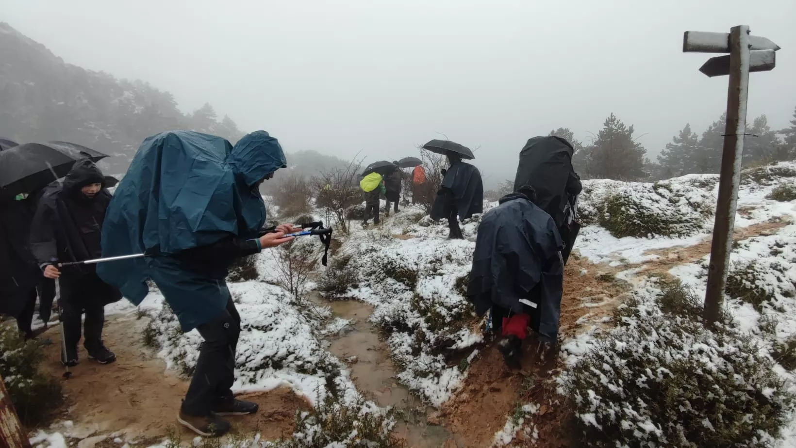 Segunda etapa Ayerbe Sierra Santo Domingo-Longás.