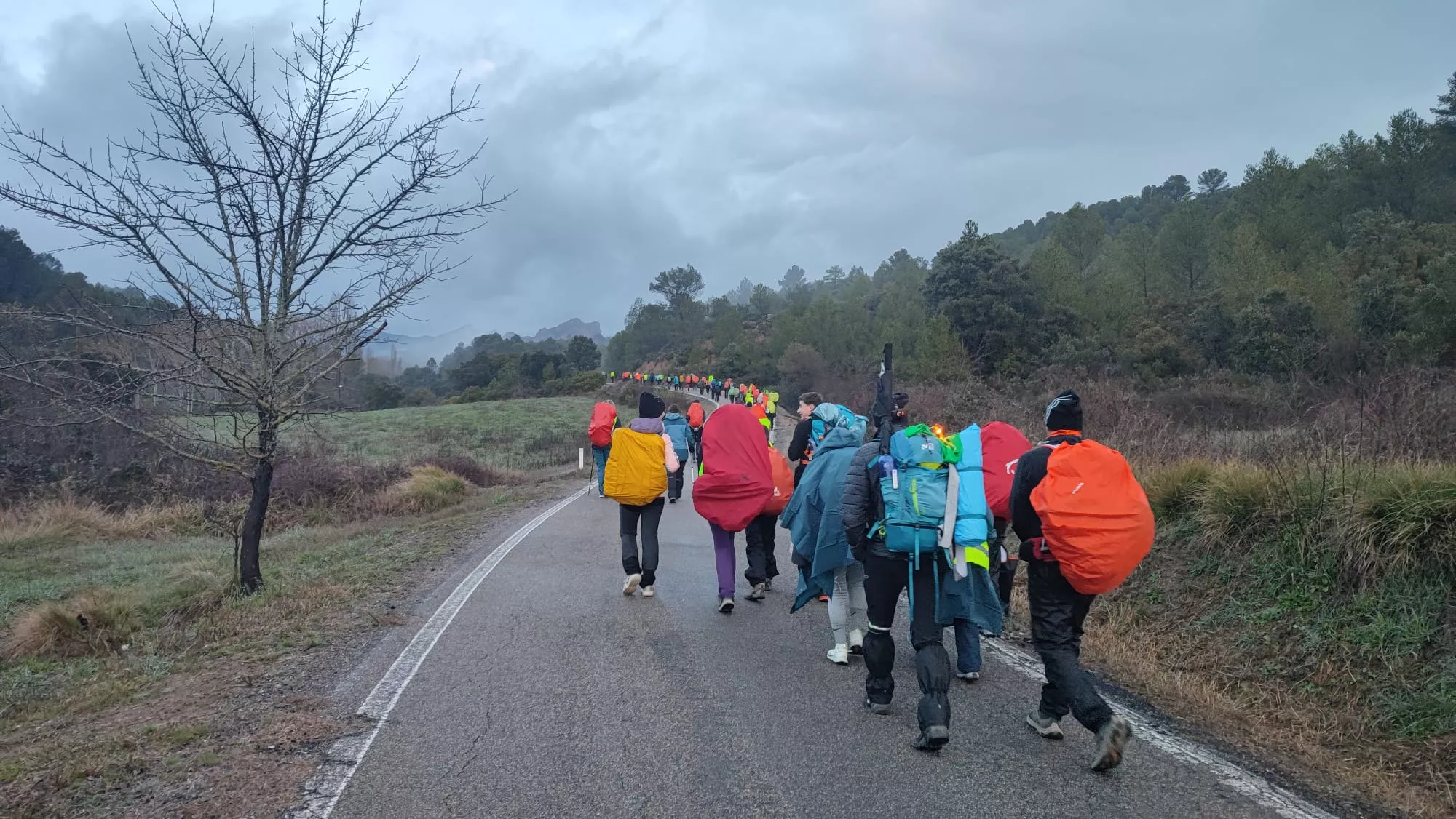 Segunda etapa Ayerbe Sierra Santo Domingo-Longás.