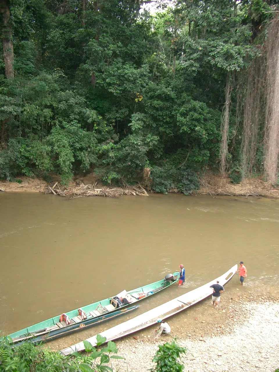 Marco Pascual en Borneo