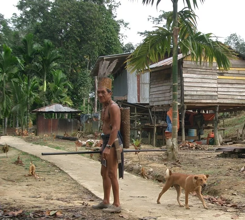 Marco Pascual en Borneo