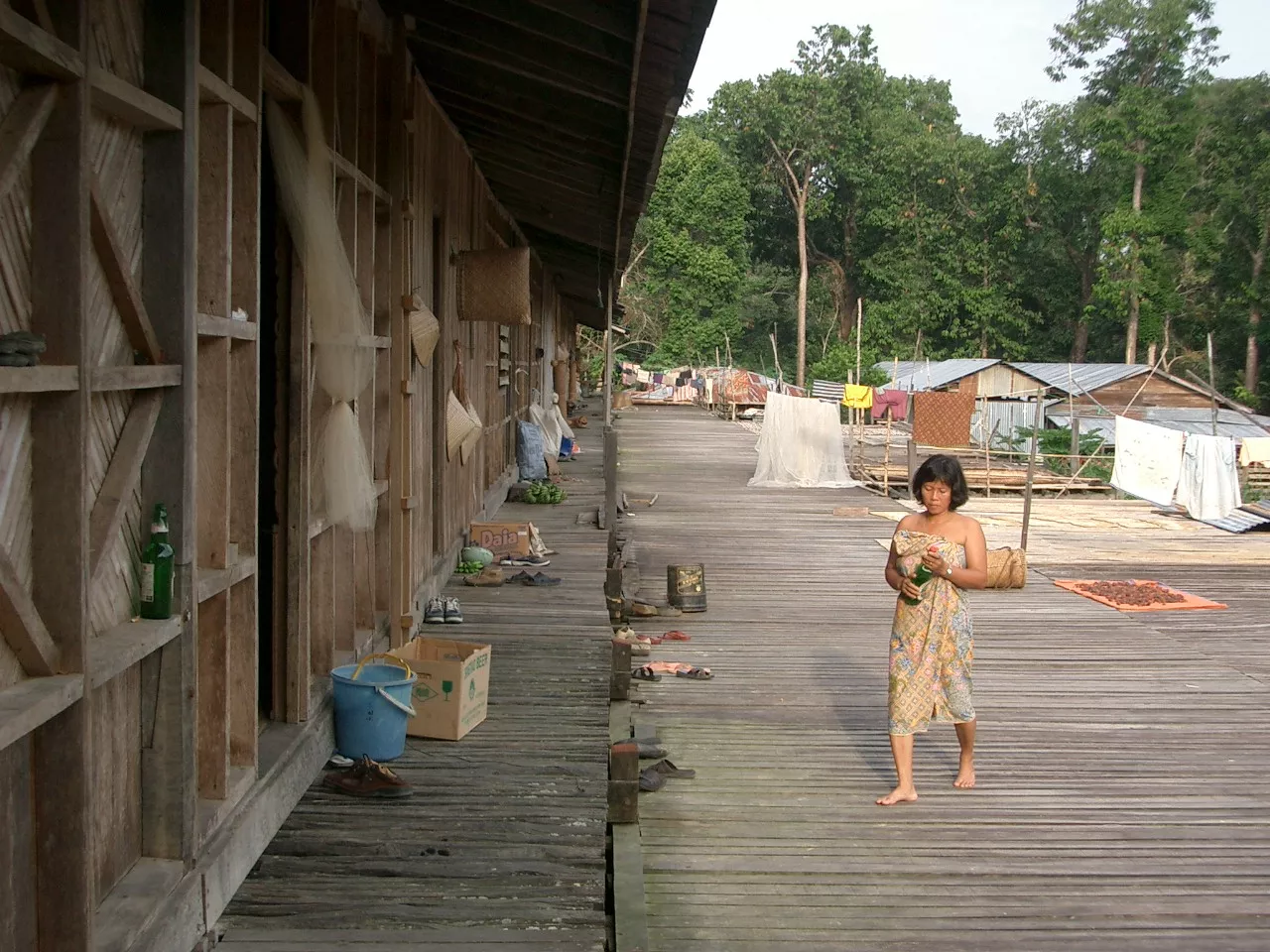 Marco Pascual en Borneo