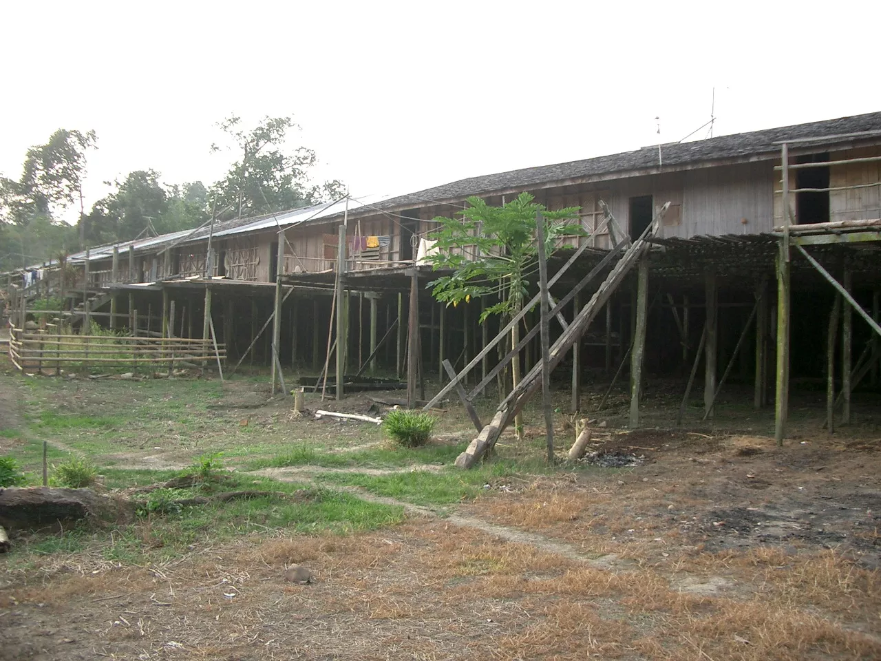 Marco Pascual en Borneo