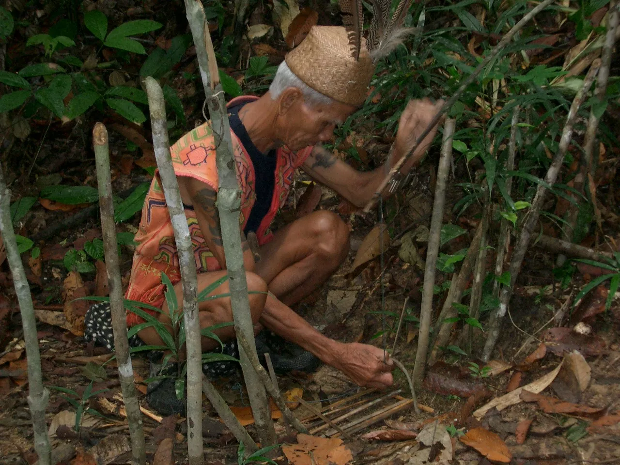 Marco Pascual en Borneo