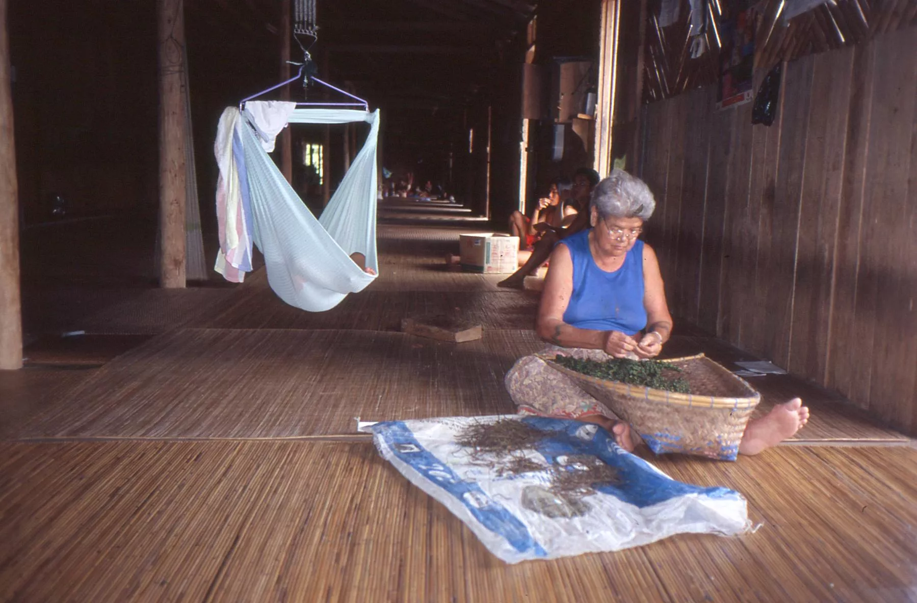 Marco Pascual en Borneo