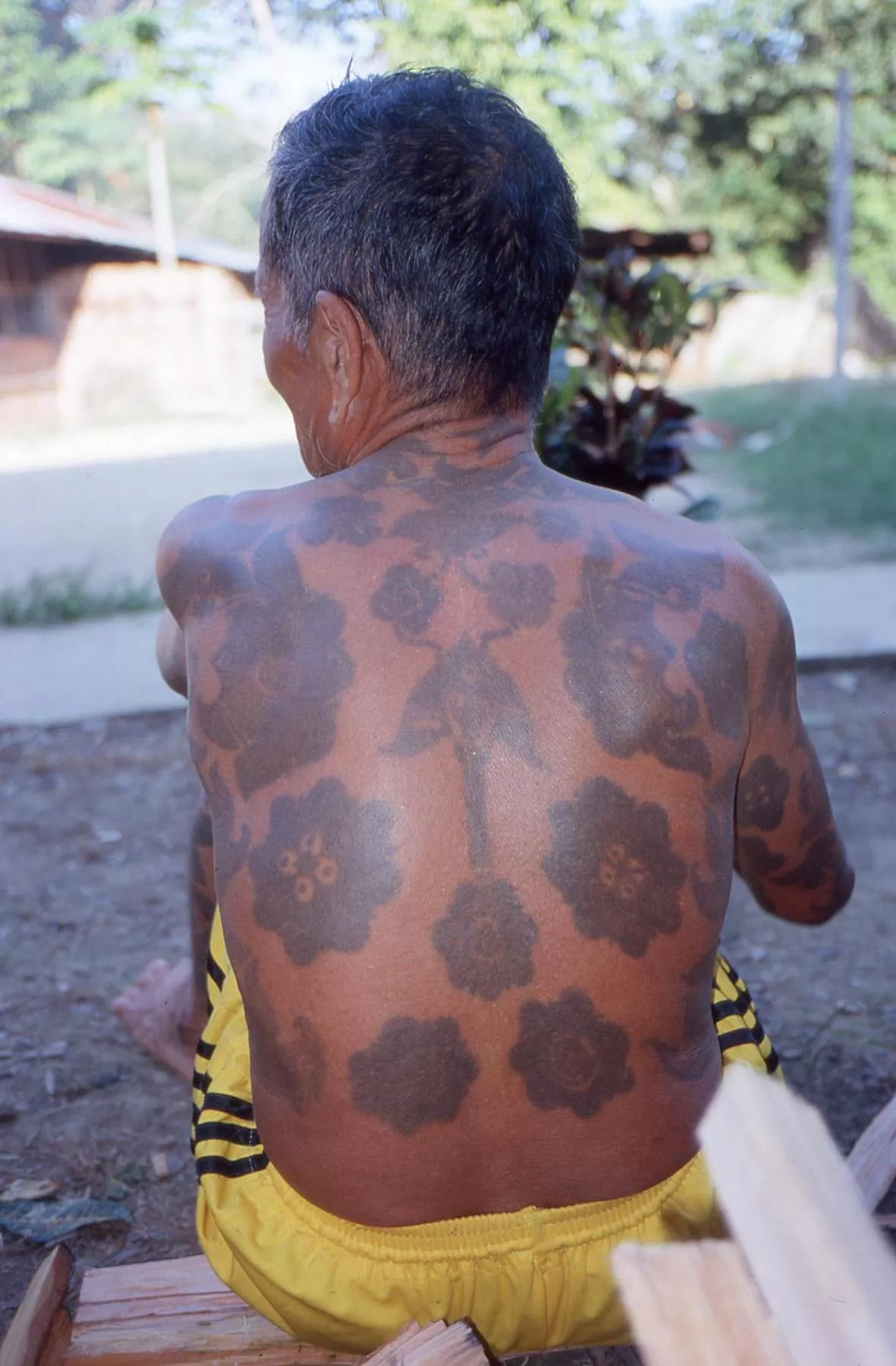 Marco Pascual en Borneo