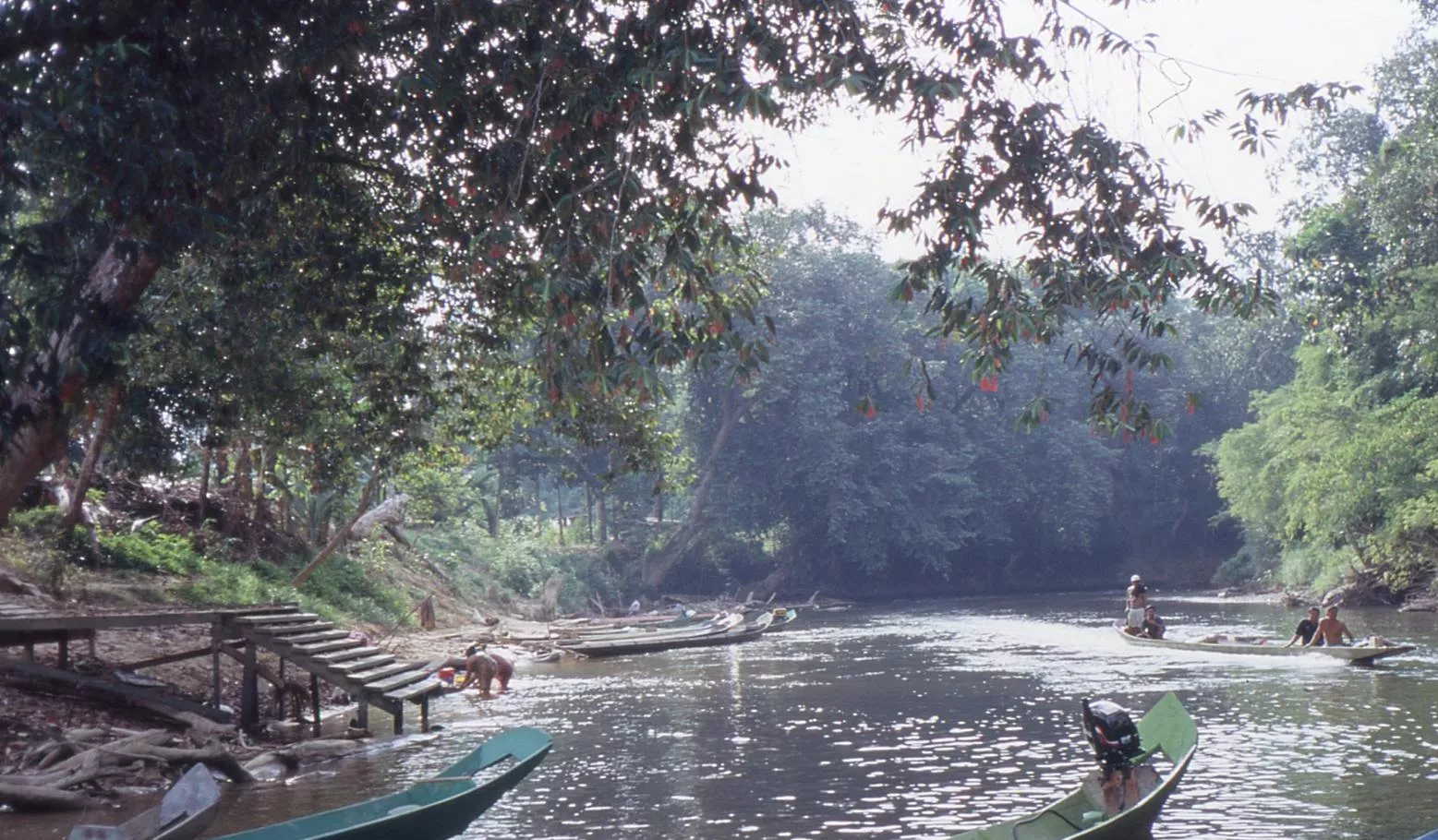 Marco Pascual en Borneo