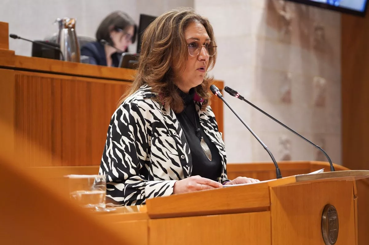 La diputada Pilar Buj expone en las Cortes de Aragón la iniciativa para proteger Canal Roya.