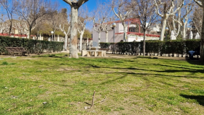 Otra perspectiva del lugar elegido para ubicar el monolito. Foto Myriam Martínez