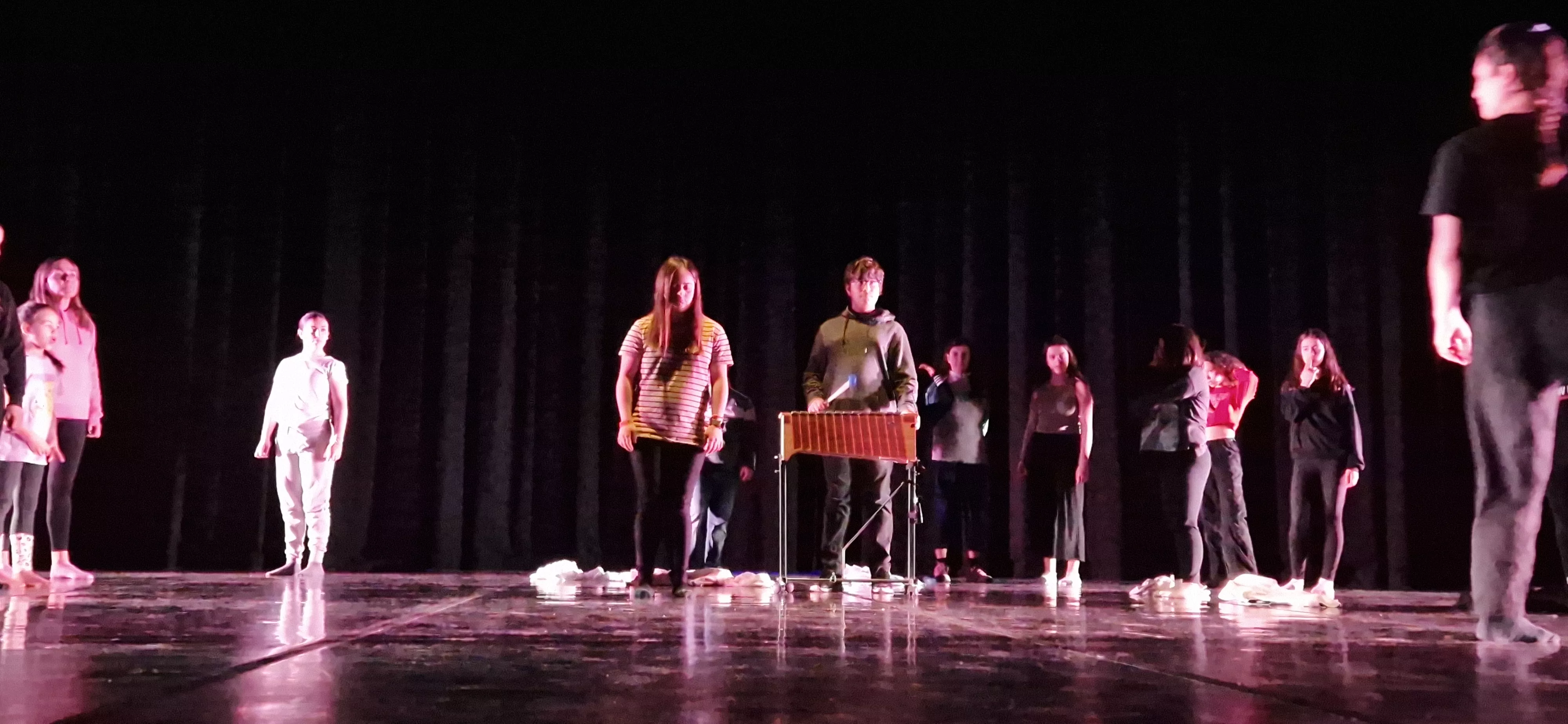 Taller del Grupo de Música y Baile de Down Huesca previo al Cosmos Festival. Foto Myriam Martínez (75)