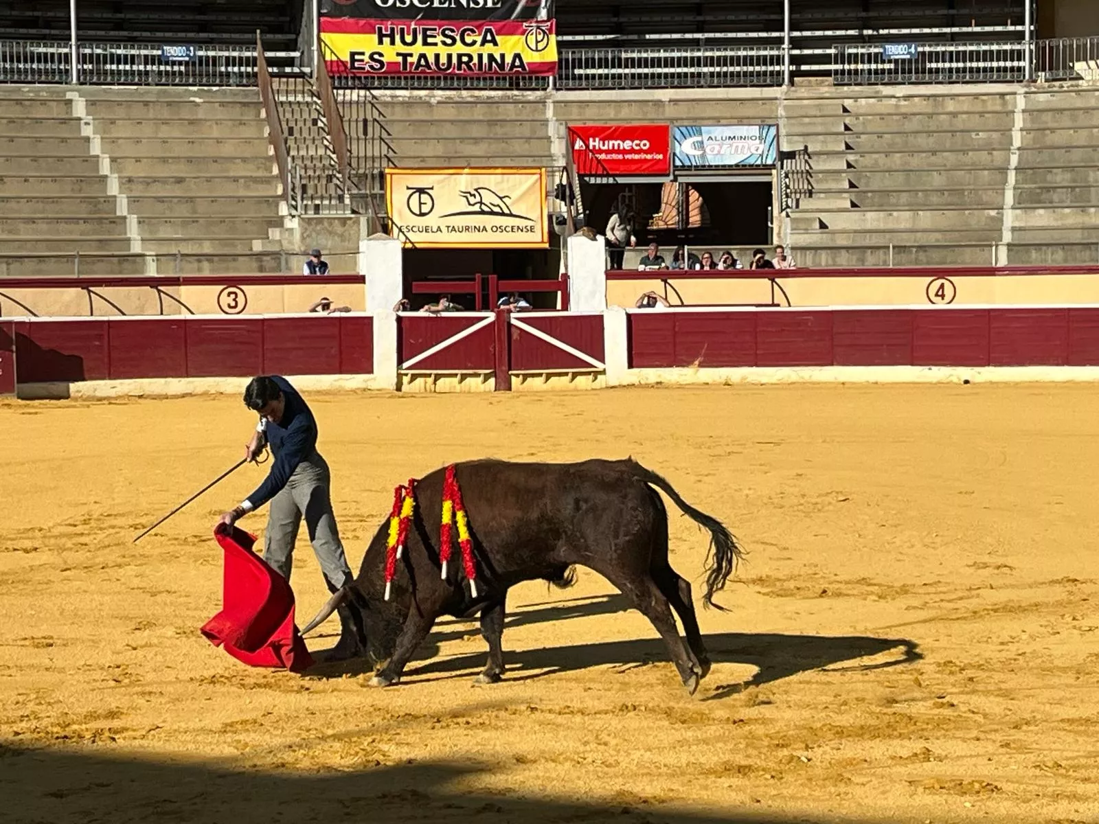 Sejas, con su novillo. Foto: A. Mora