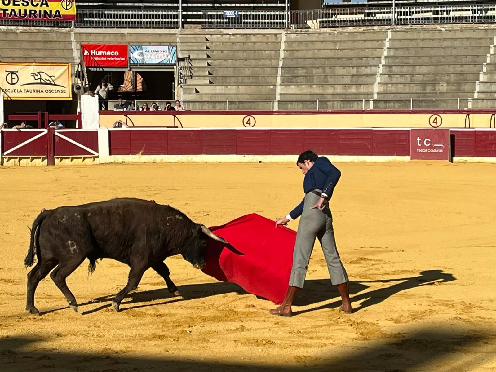 Sejas, con su novillo. Foto: A. Mora