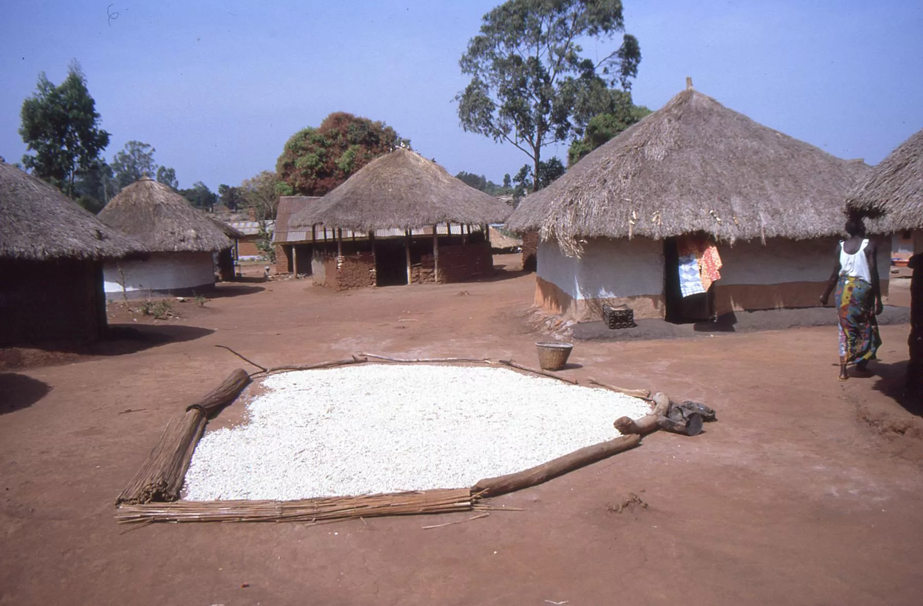 Fotos de Marco Pascual en el Congo