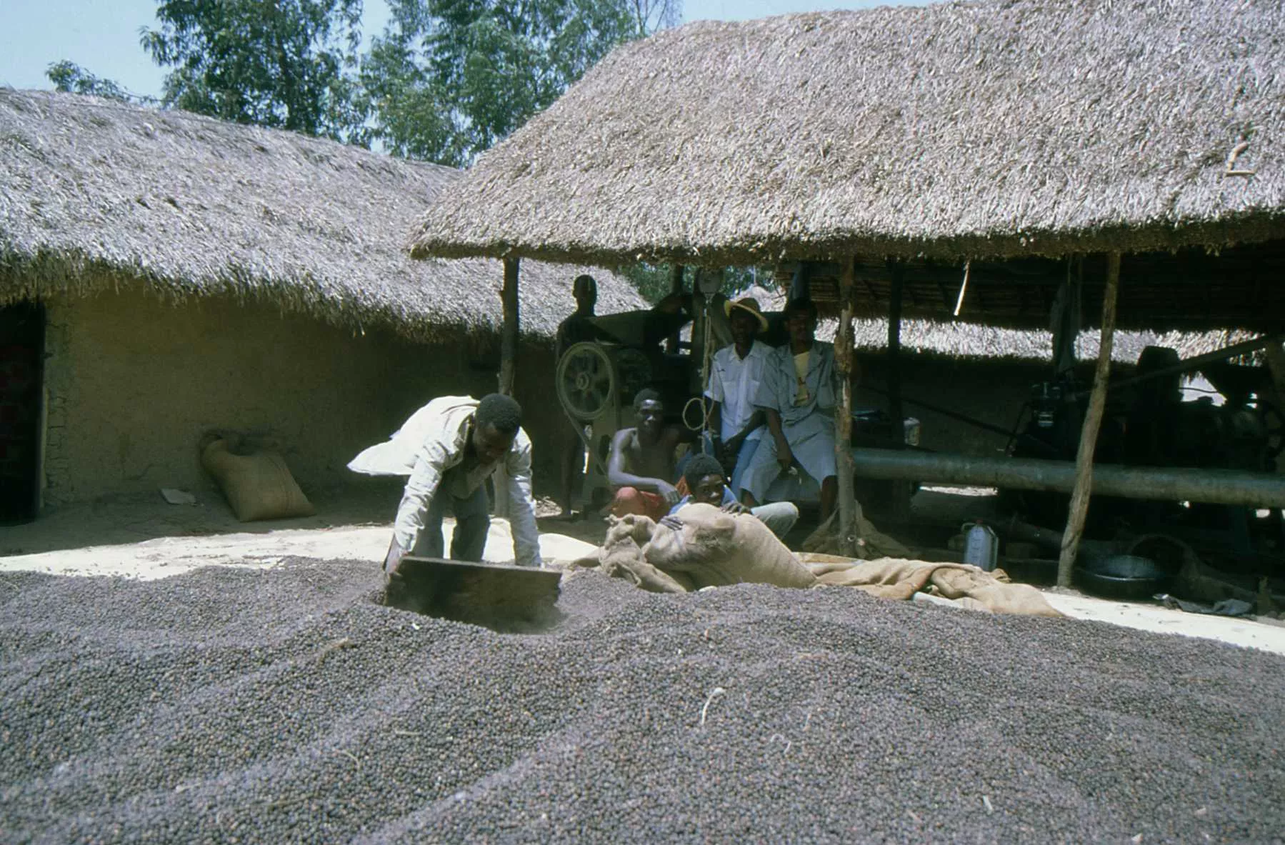 Fotos de Marco Pascual en el Congo