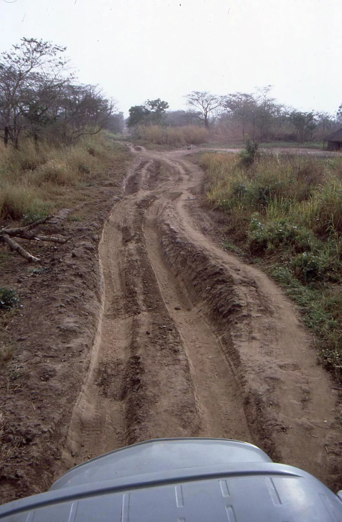 Fotos de Marco Pascual en el Congo