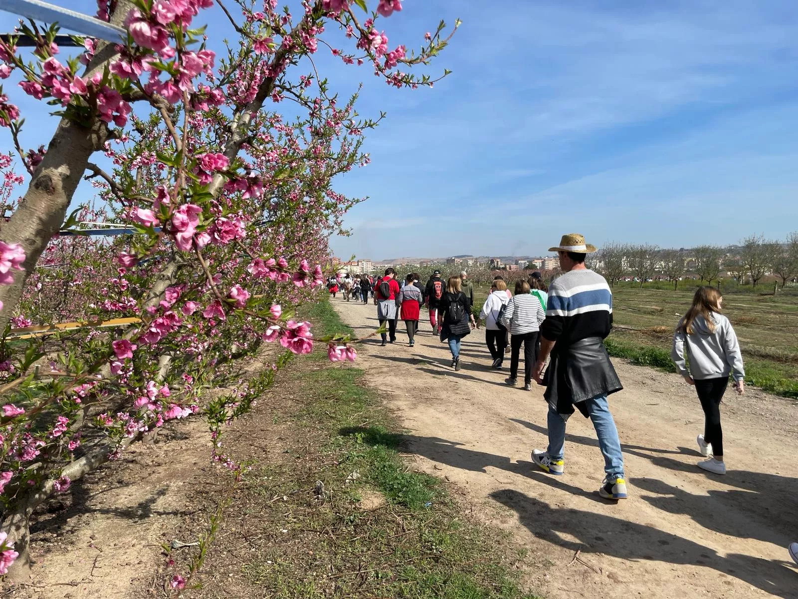 Música entre las Flores y Ruta de la Floración en Fraga