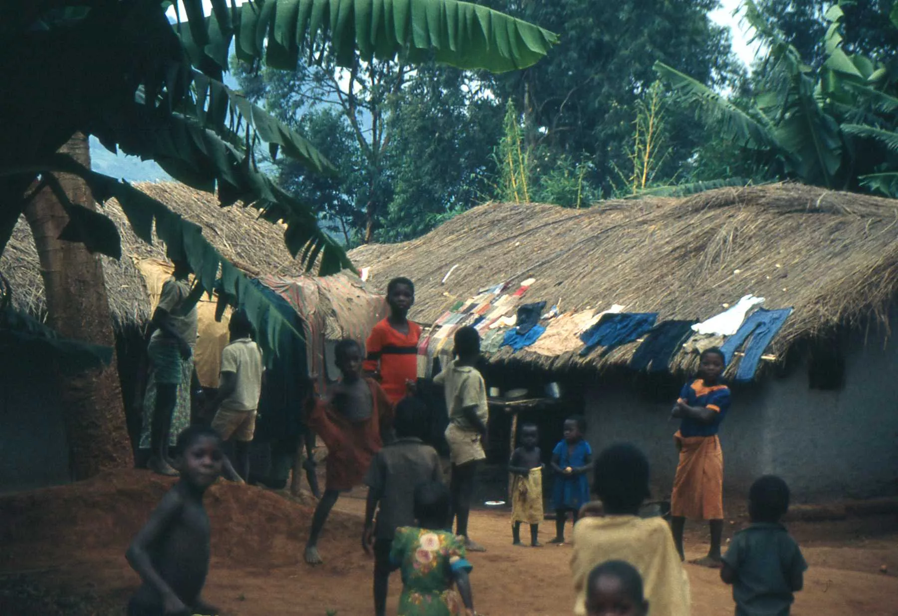 Marco Pascual en Congo, un viaje tremendo