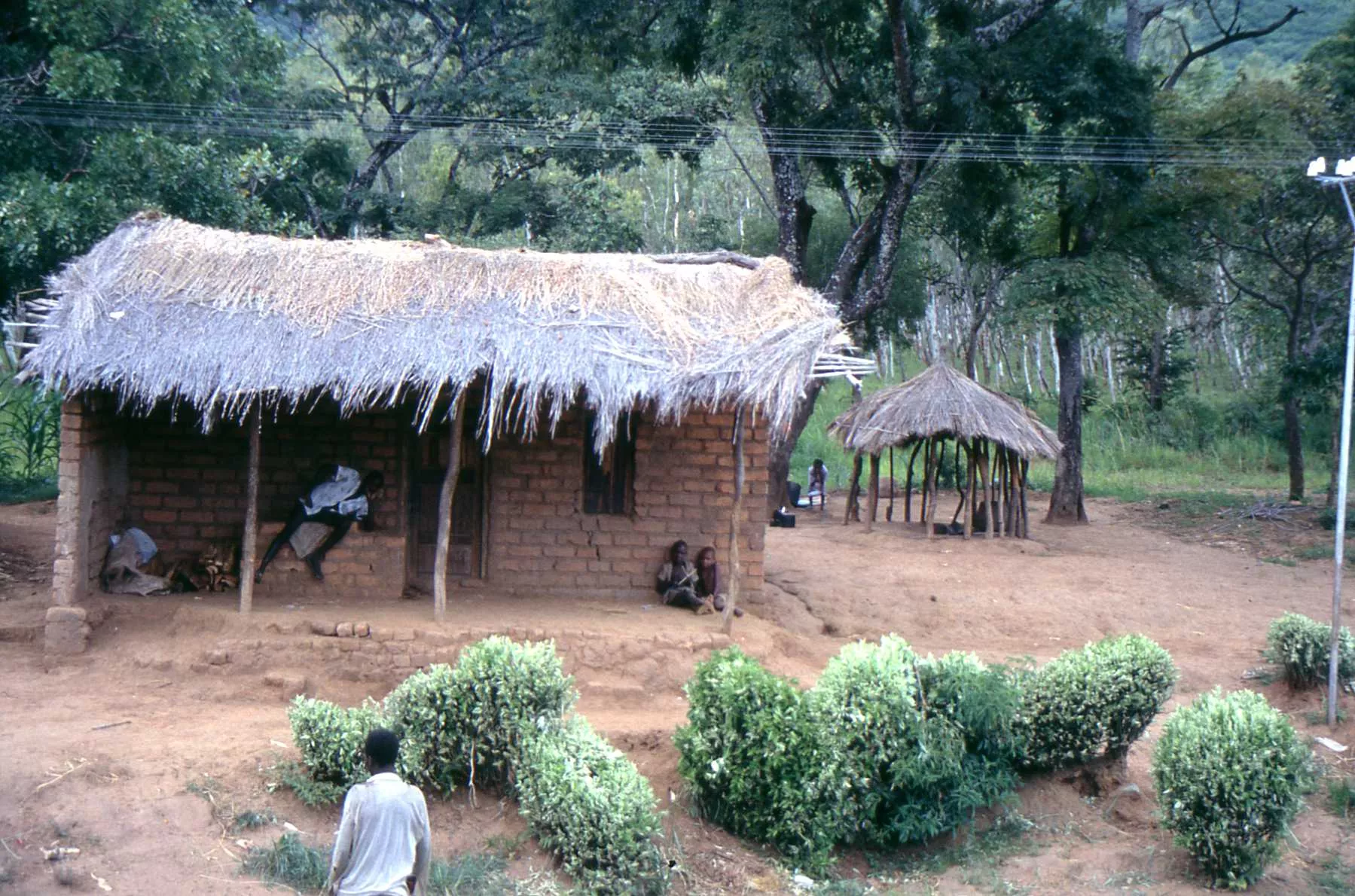 Marco Pascual en Congo, un viaje tremendo