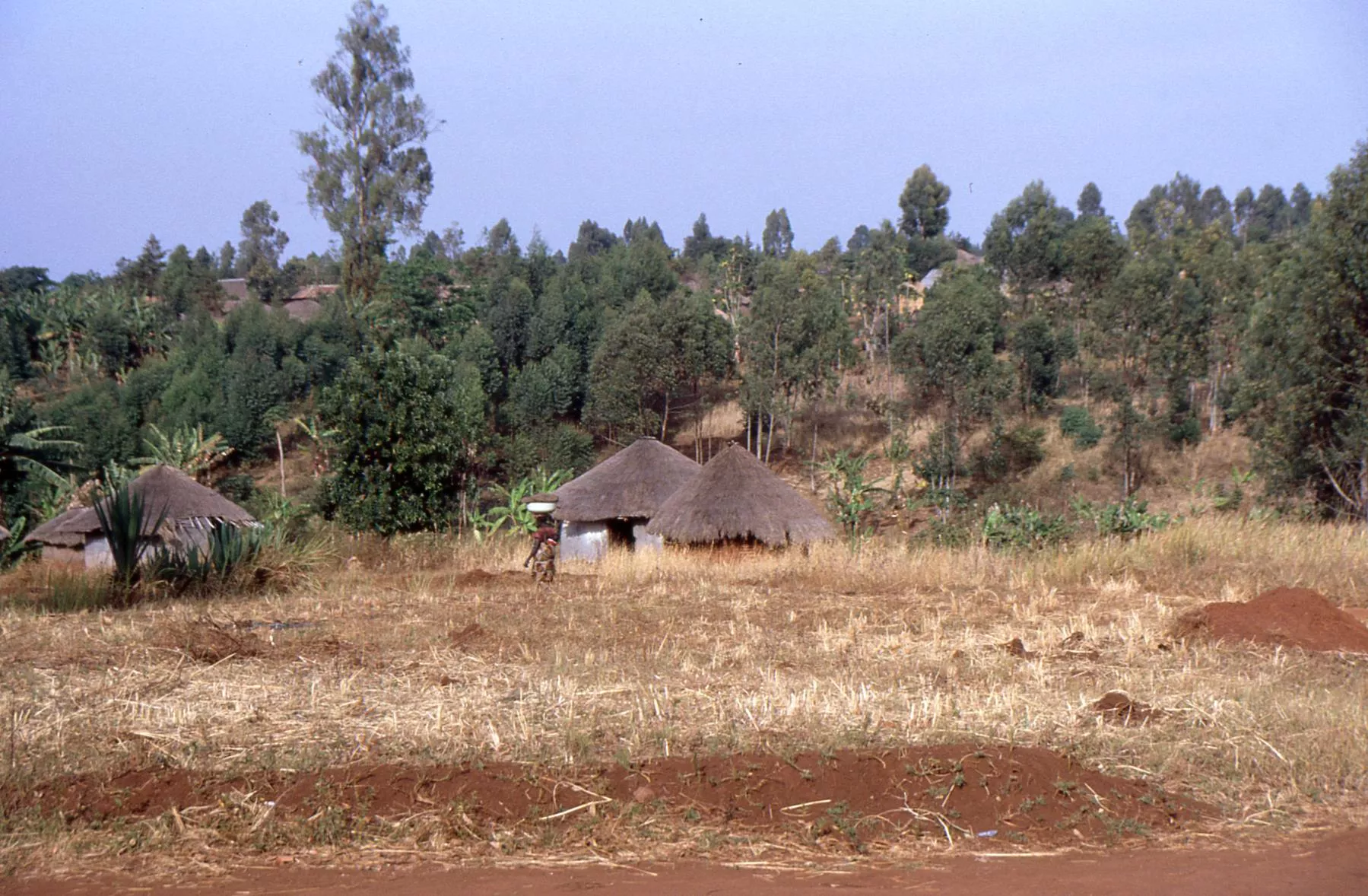 Marco Pascual en Congo, un viaje tremendo