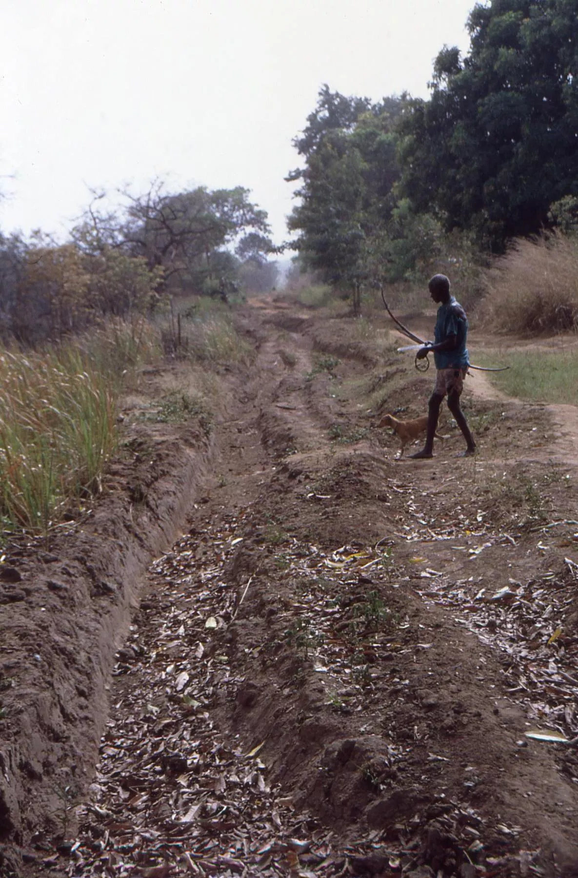 Marco Pascual en Congo, un viaje tremendo