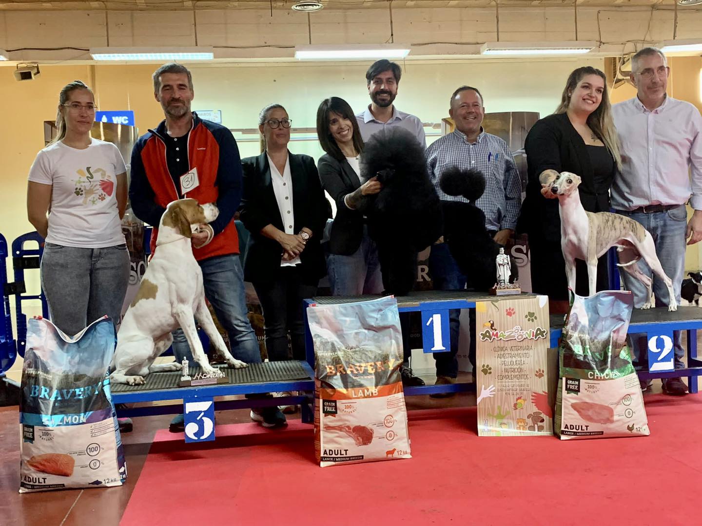 Ganadores del Concurso Nacional de Belleza Canina de Monzón