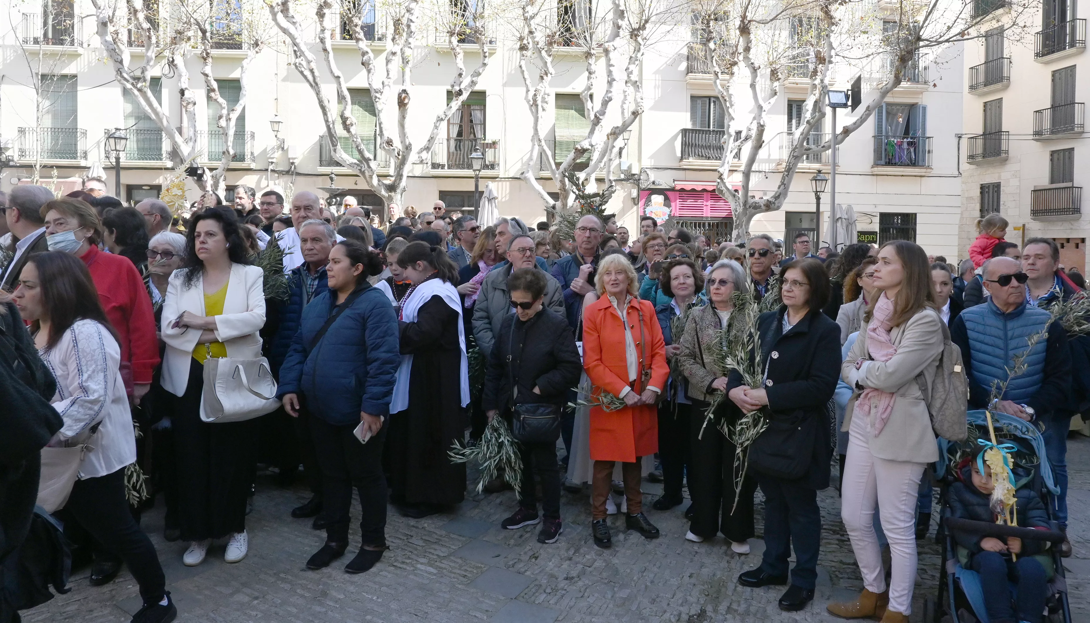 Domingo de Ramos en Huesca. Foto Carlos Jalle