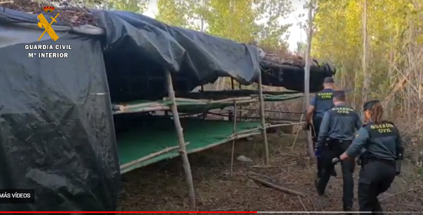 Agentes de la Guardia Civil junto al secadero hallado en un extremo de la plantación