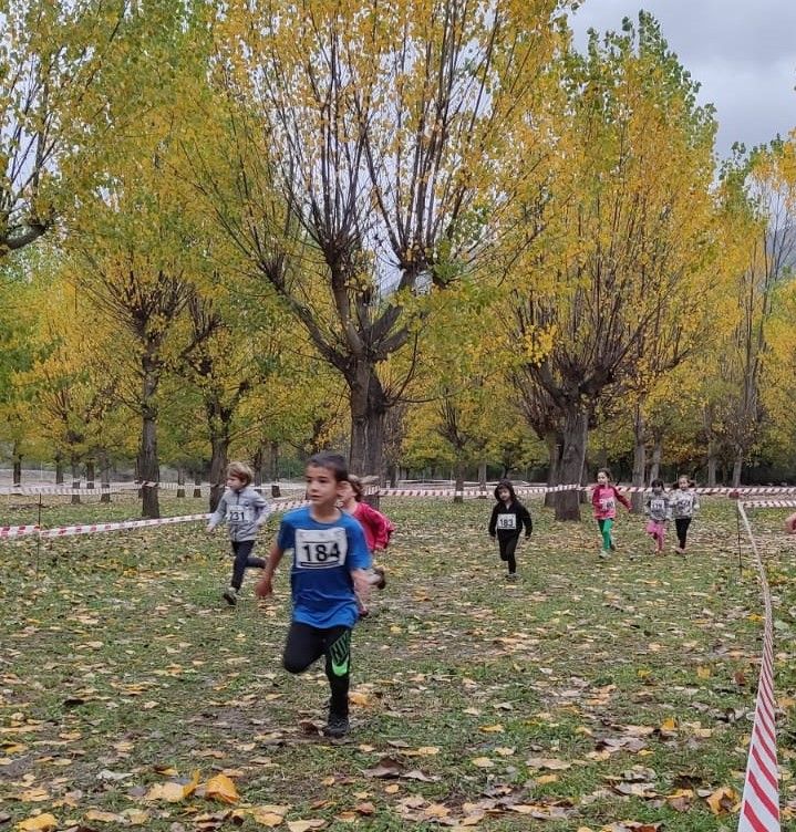 Las categorías escolares, protagonistas en Castejón de Sos.