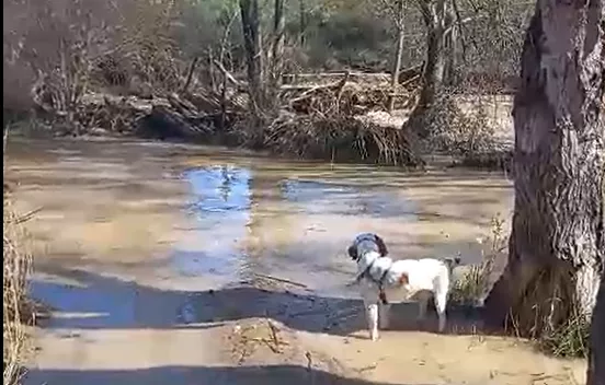 Camino a las Fuentes de Marcelo.