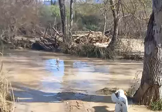 Las Fuentes de Marcelo.
